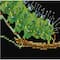 Thea Gouverneur Since 1959® Caterpillars & Butterflies Counted Cross Stitch Kit